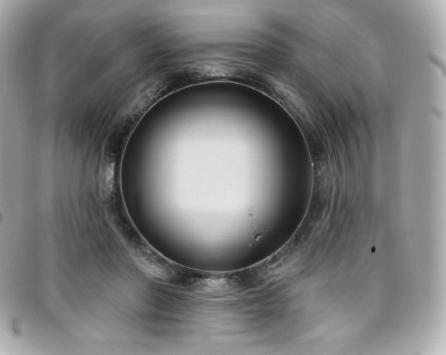 X0000096430406200801241342