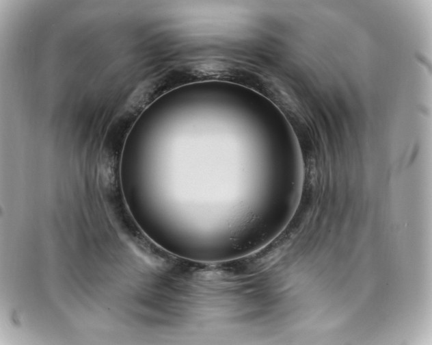 X0000096430408200801241342