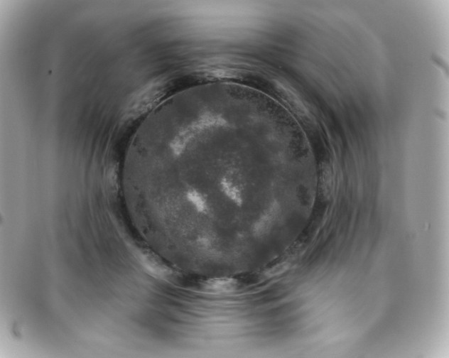 X0000096430410200801241342