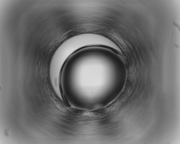 X0000096430413200801241342