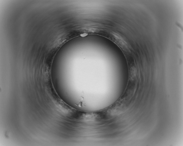 X0000096430414200801241342