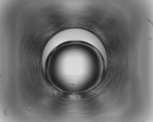 X0000096430415200801241342