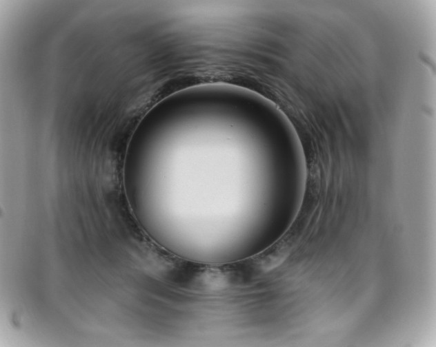 X0000096430416200801241342