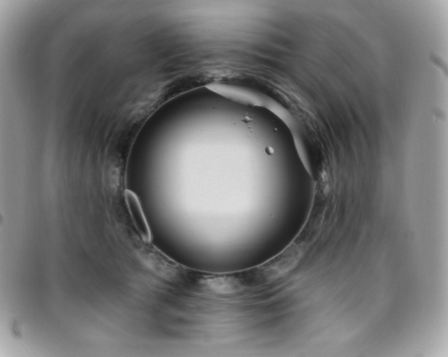 X0000096430417200801241342