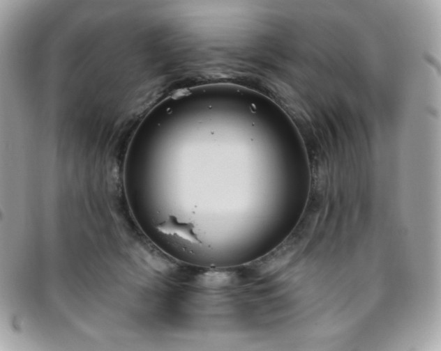 X0000096430418200801241342