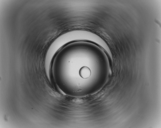 X0000096430419200801241342