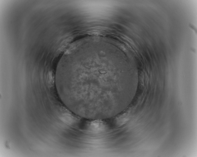 X0000096430420200801241342