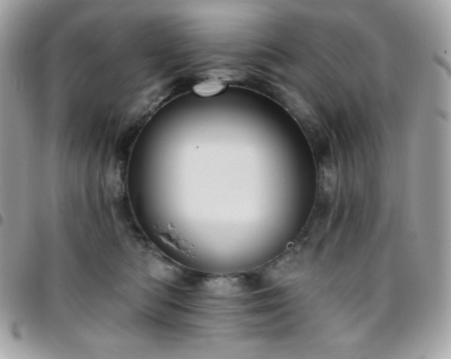 X0000096430422200801241342