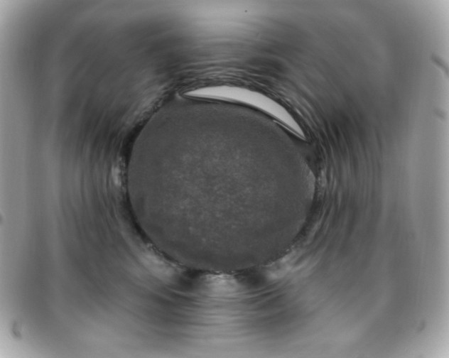 X0000096430424200801241342