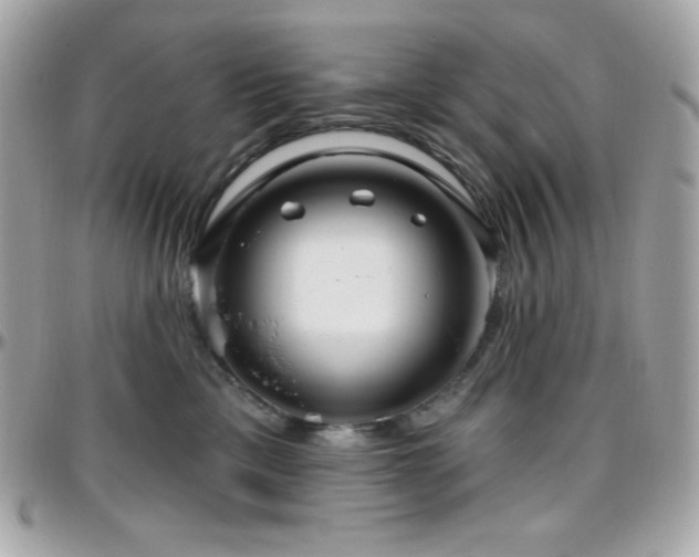 X0000096430425200801241342