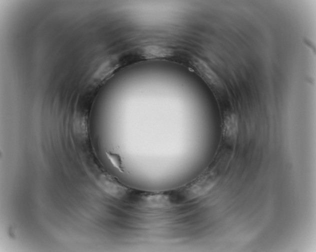 X0000096430426200801241342