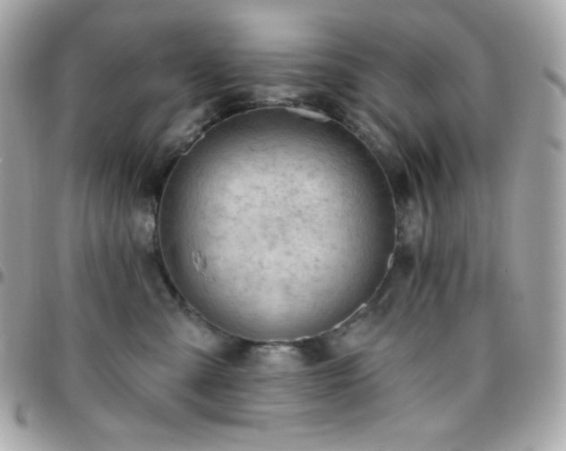 X0000096430427200801241342