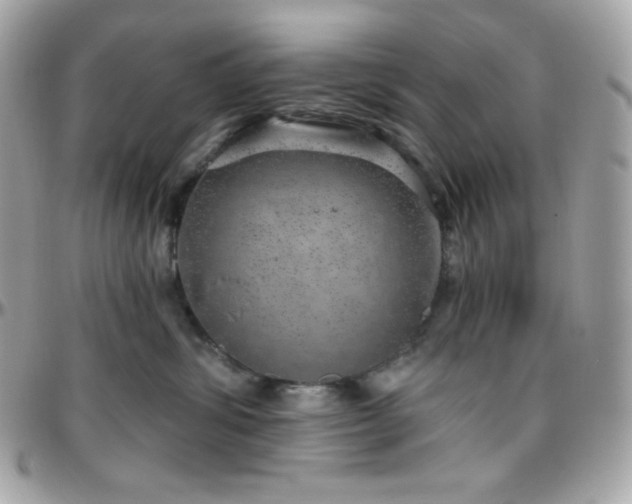 X0000096430428200801241342