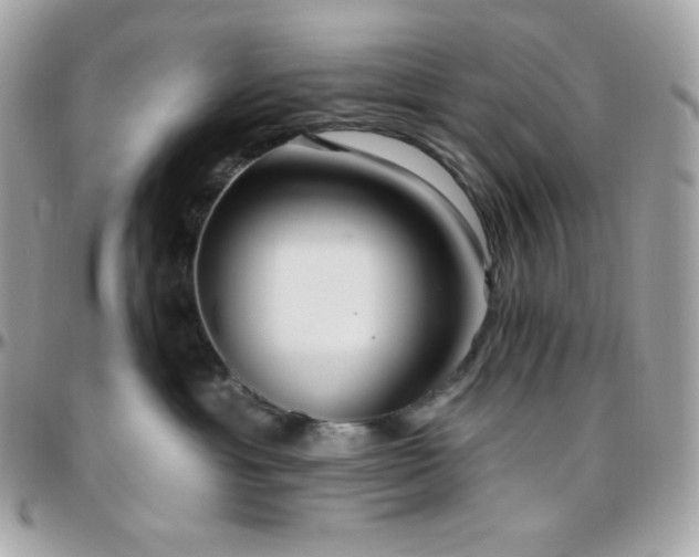 X0000096430429200801241342