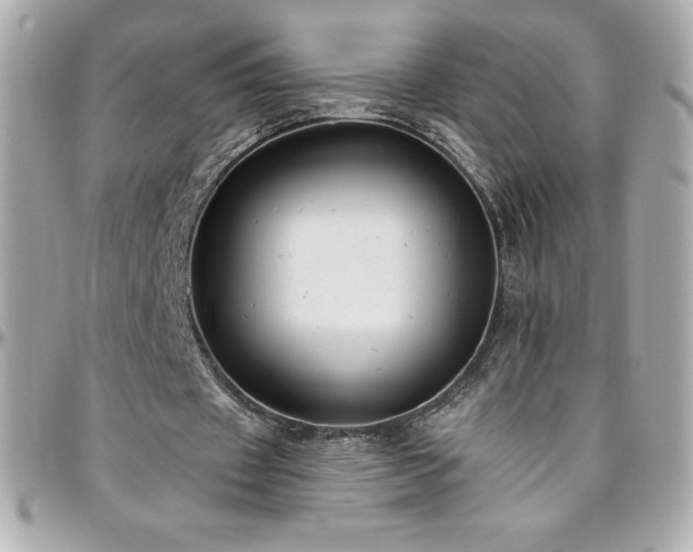 X0000096430433200801241341
