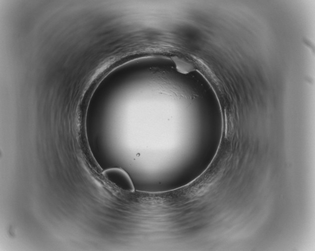 X0000096430435200801241341