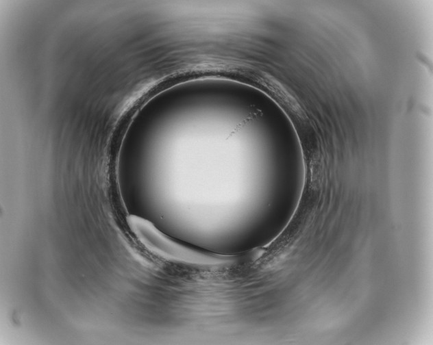 X0000096430436200801241342