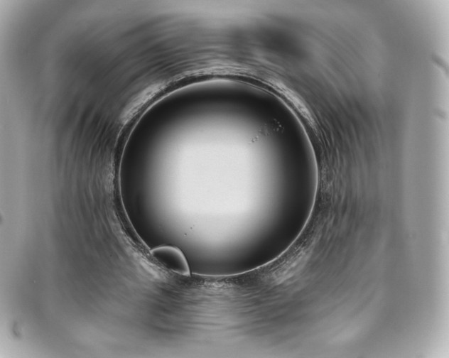 X0000096430437200801241342