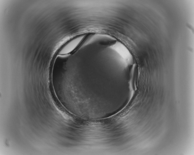 X0000096430438200801241342