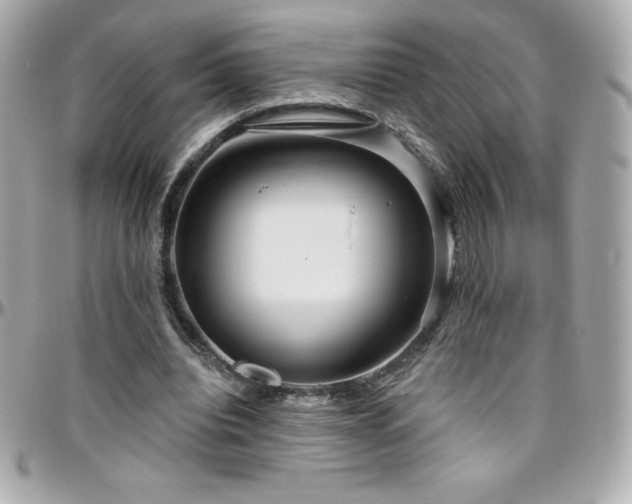 X0000096430440200801241342