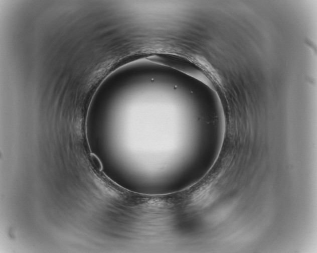 X0000096430441200801241342