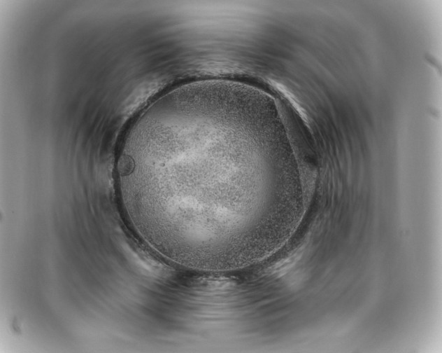 X0000096430443200801241342