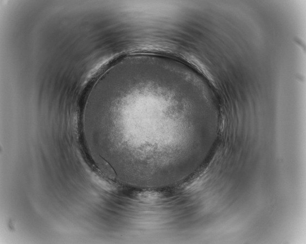 X0000096430444200801241342