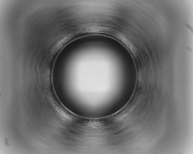 X0000096430445200801241342