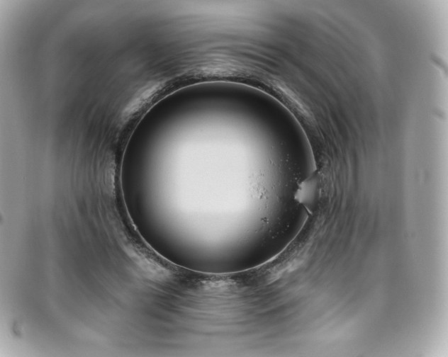 X0000096430446200801241342