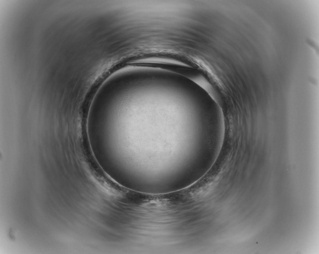 X0000096430447200801241342