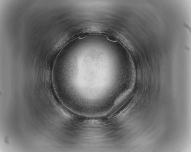 X0000096430449200801241342