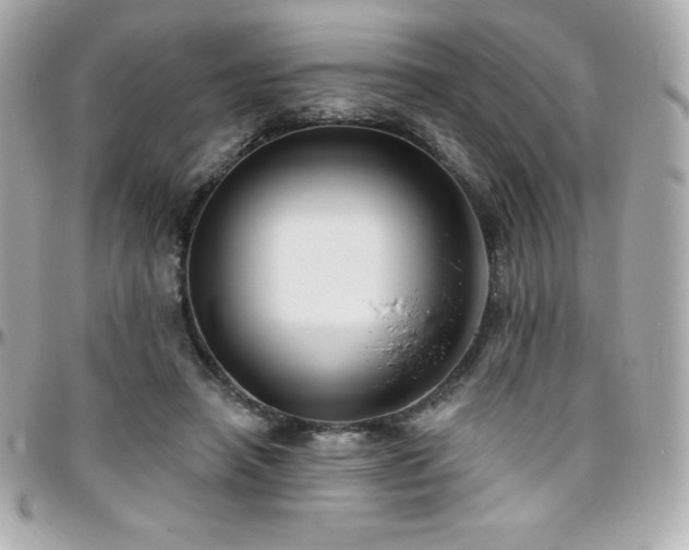 X0000096430450200801241342