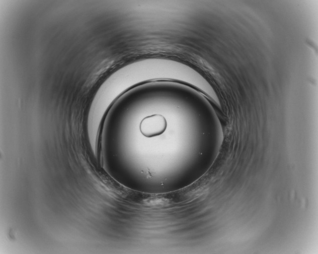 X0000096430452200801241342