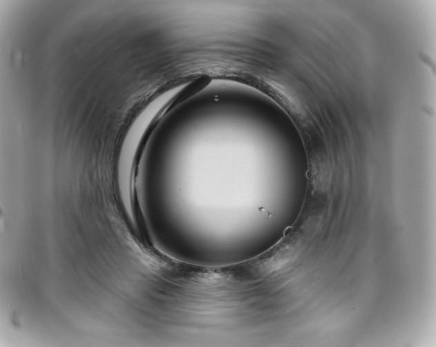 X0000096430453200801241342