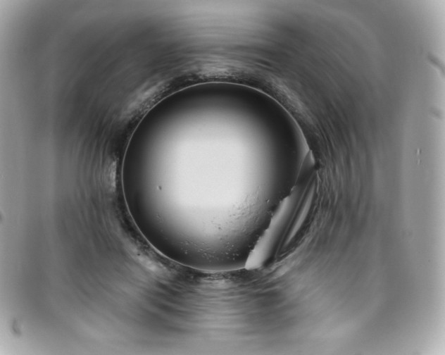 X0000096430454200801241342