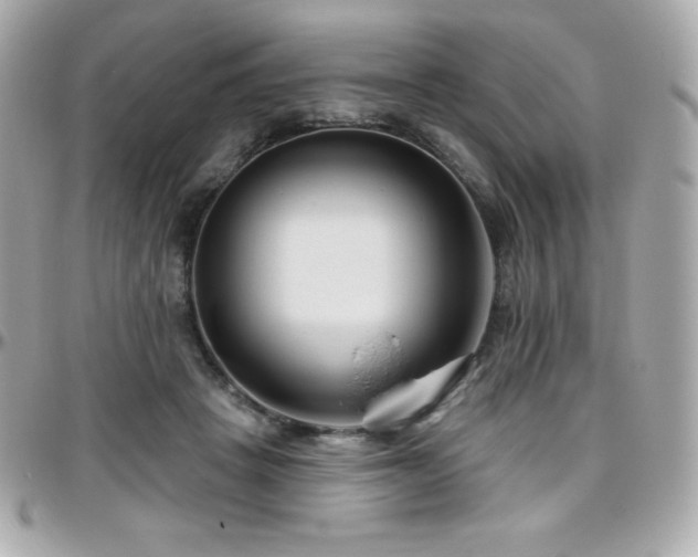 X0000096430457200801241342