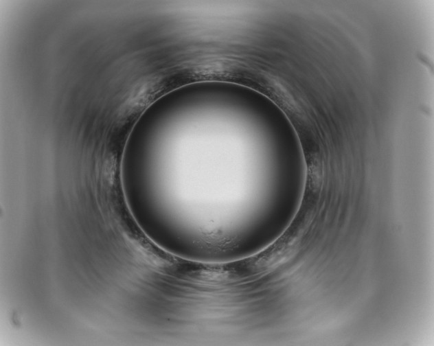 X0000096430458200801241342