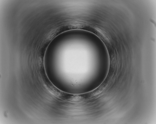 X0000096430459200801241342