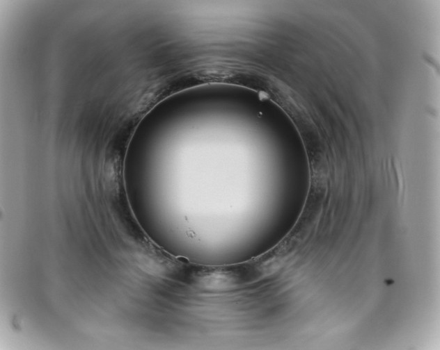 X0000096430460200801241342