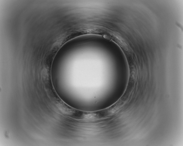 X0000096430461200801241342
