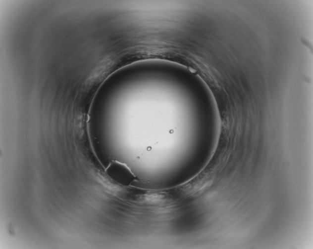 X0000096430462200801241342