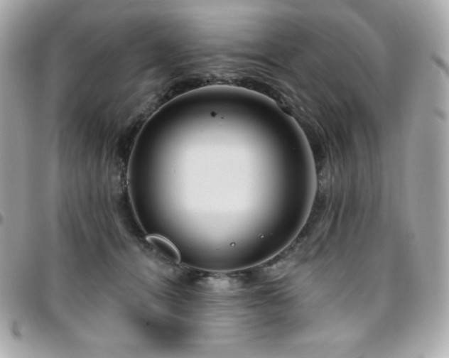 X0000096430464200801241342
