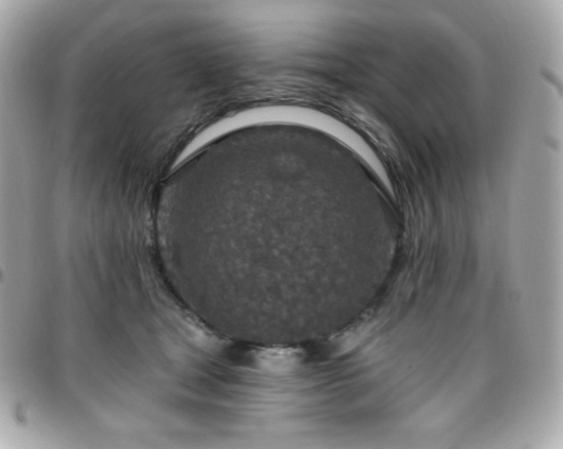 X0000096430465200801241342