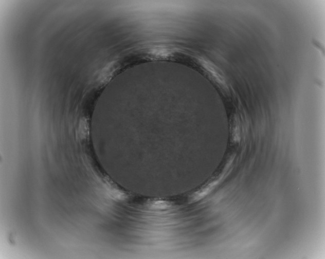 X0000096430467200801241342