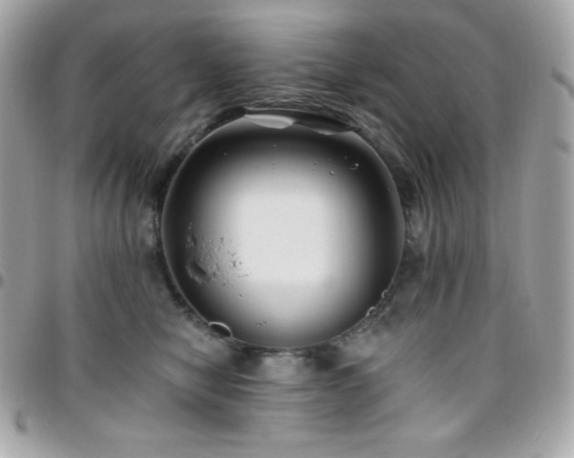 X0000096430470200801241342