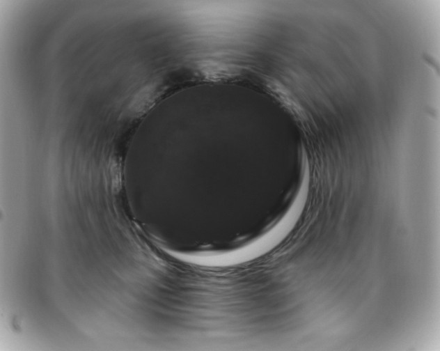 X0000096430471200801241342