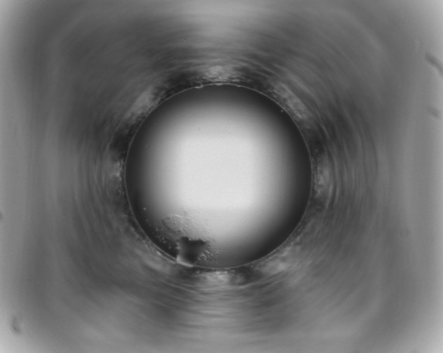 X0000096430473200801241342
