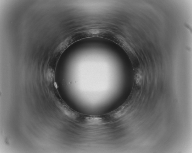X0000096430476200801241342