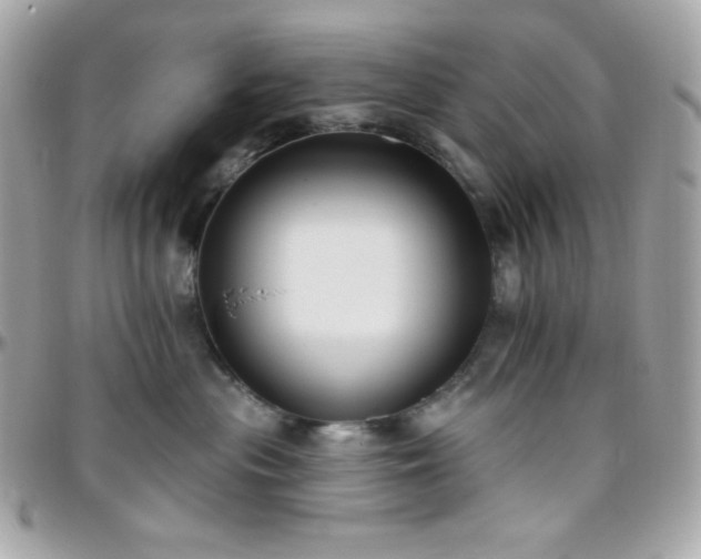 X0000096430477200801241342