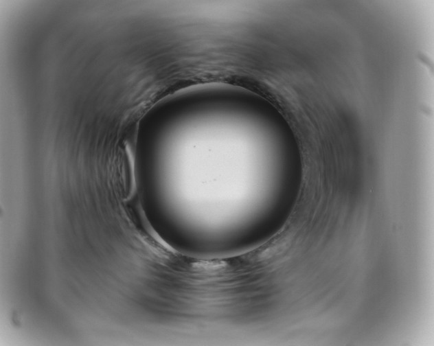 X0000096430480200801241342